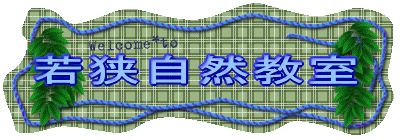 ዷR
