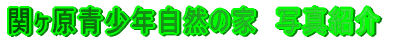 փNR̉Ɓ@ʐ^Љ